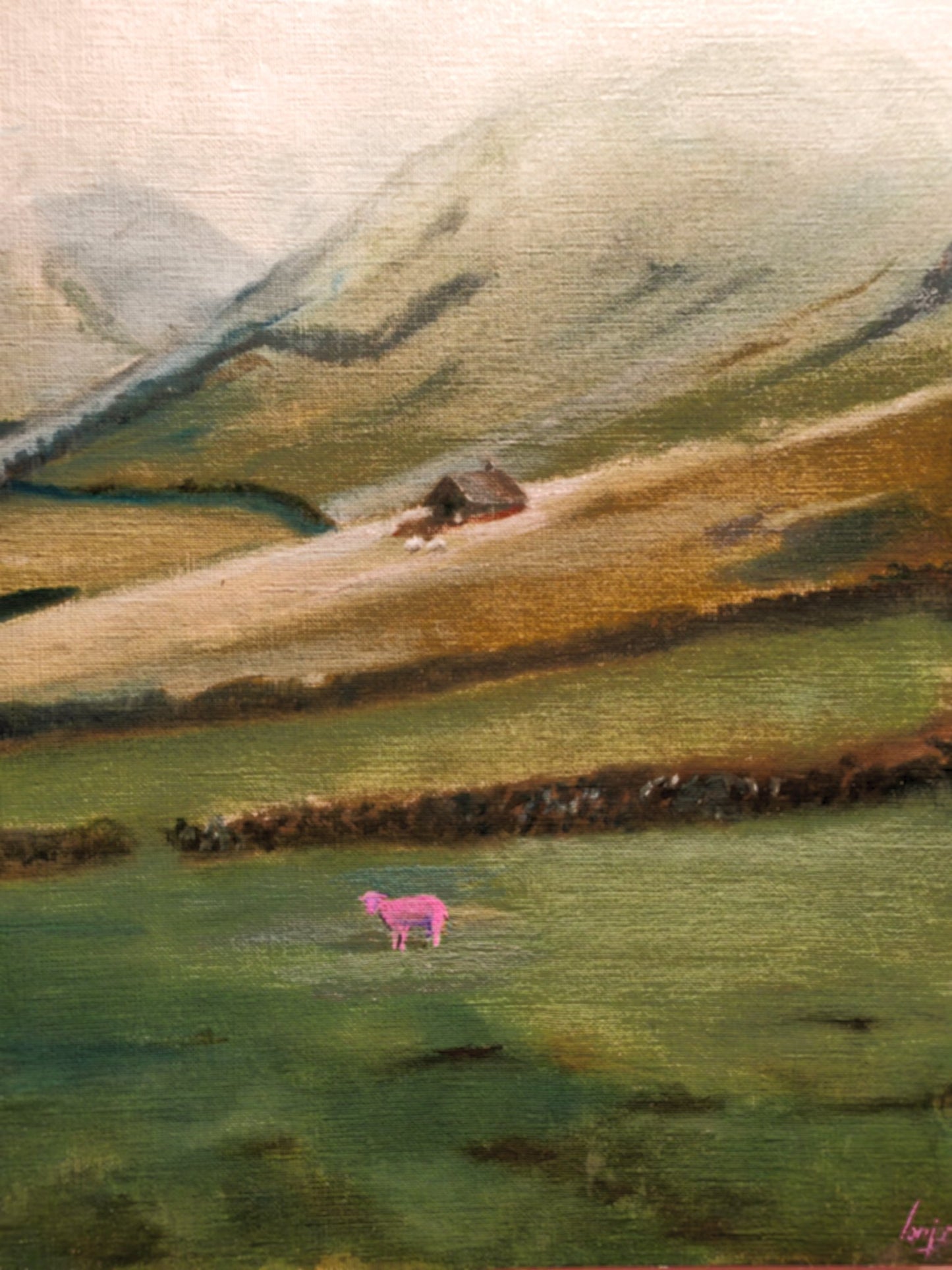 67ba0902ddedd507fb90891c_black-sheep_1778619460153.jpg