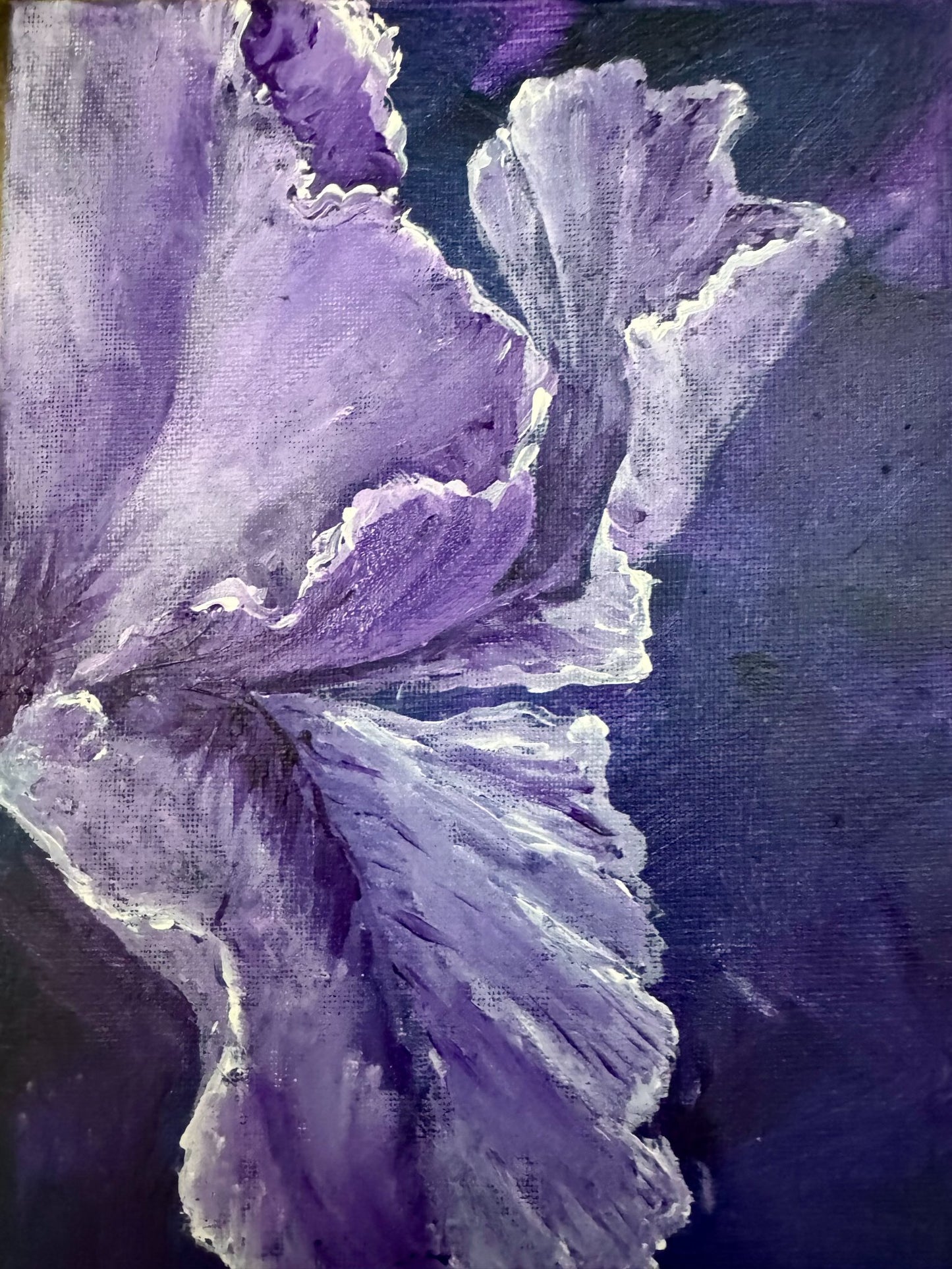 Iris