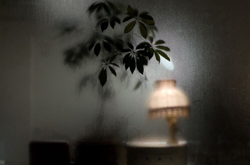 67ba0902ddedd507fb90891c_still-life_1749670068650.jpg