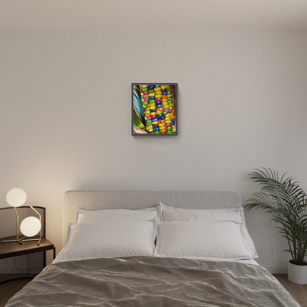 Native American Corn (Maïs des Indiens d'Amérique)