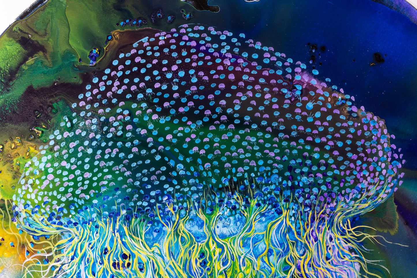 La foret et l'océan