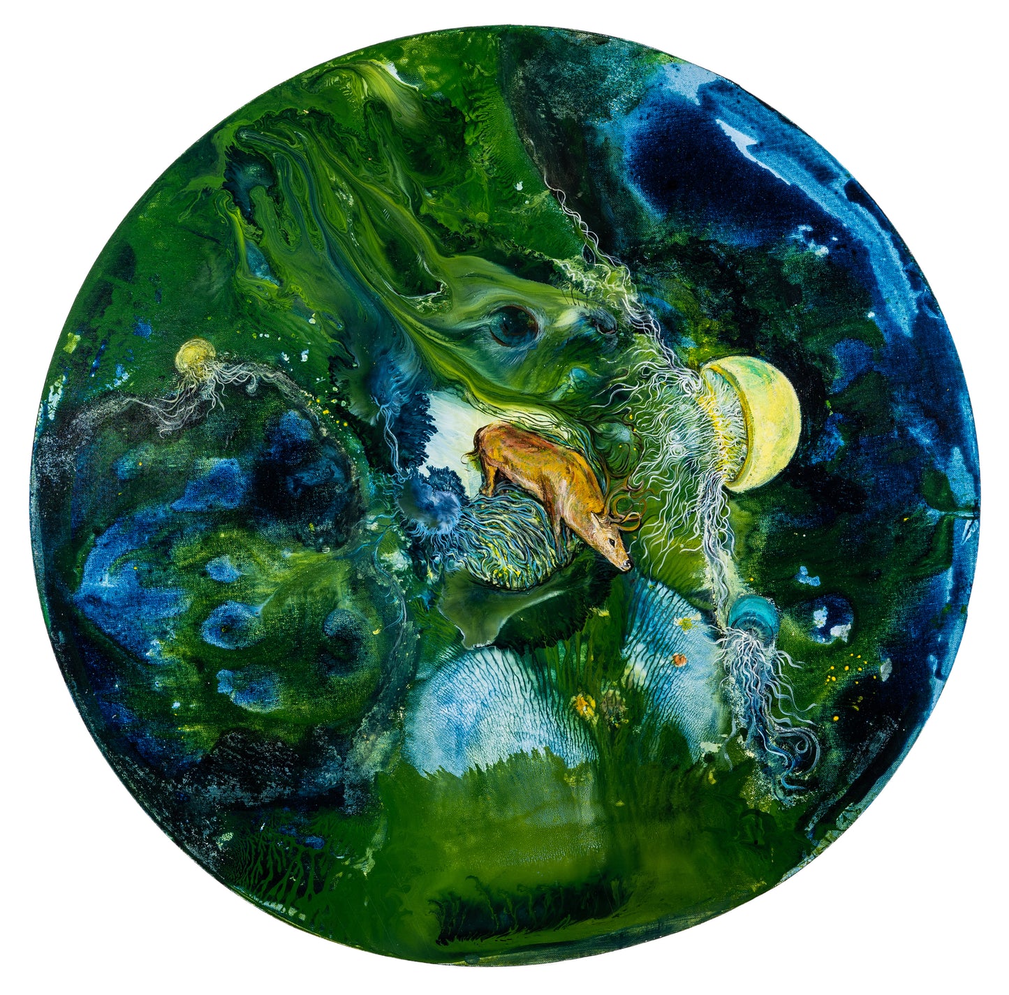 Relève de lapin N°2