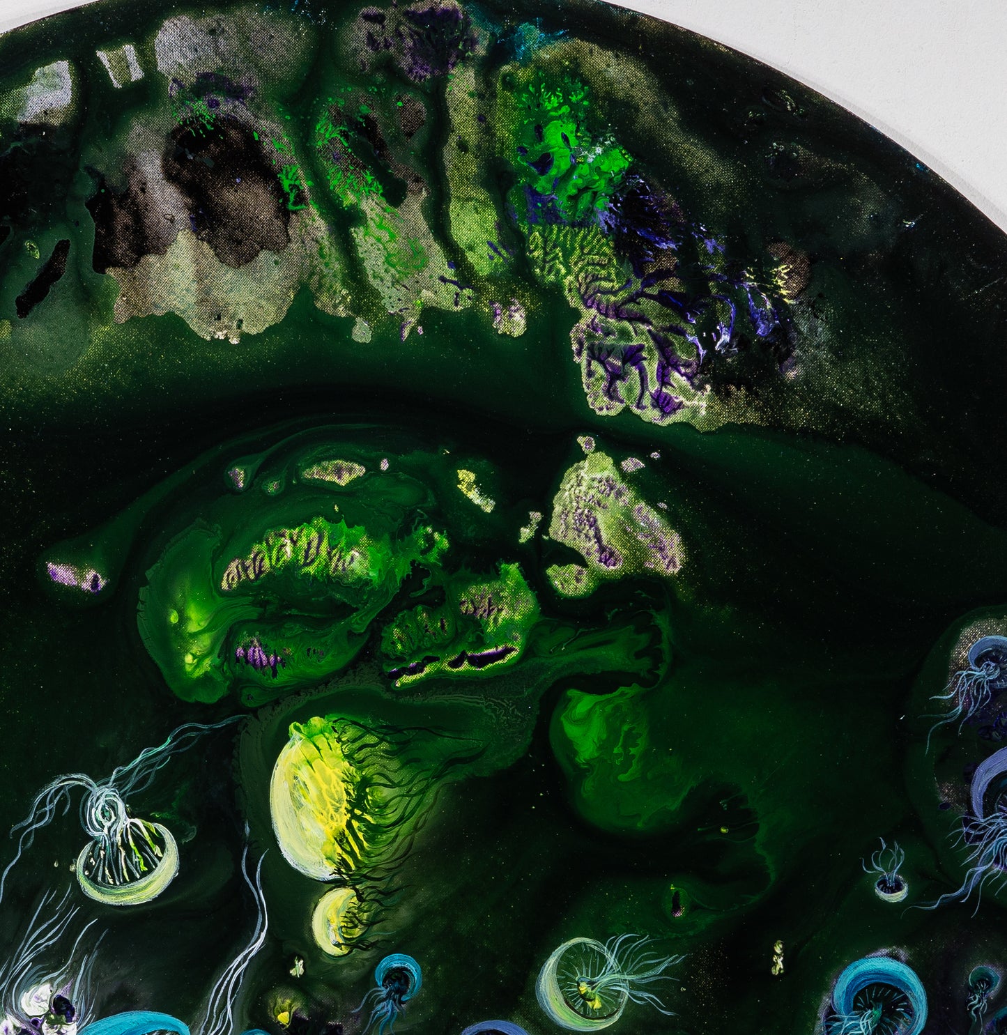 Relève de lapin N°1