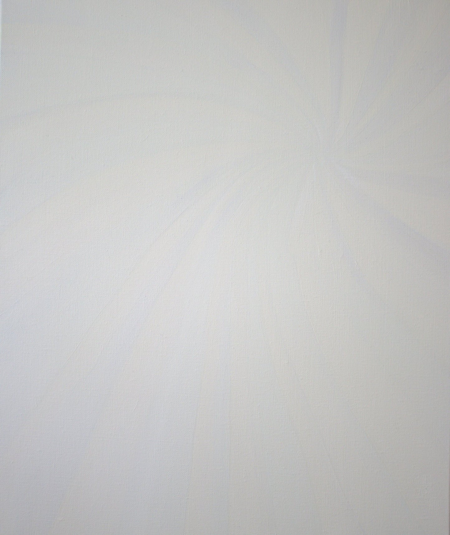 67ba0902ddedd507fb90891c_2-barely-there-55x46_1769107045007.jpg