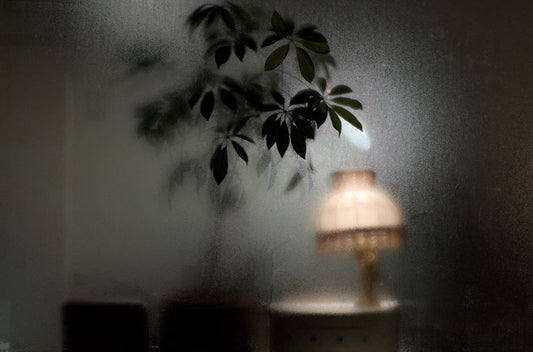 67ba0902ddedd507fb90891c_still-life_1749670068650.jpg