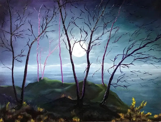 Nuit d'hiver